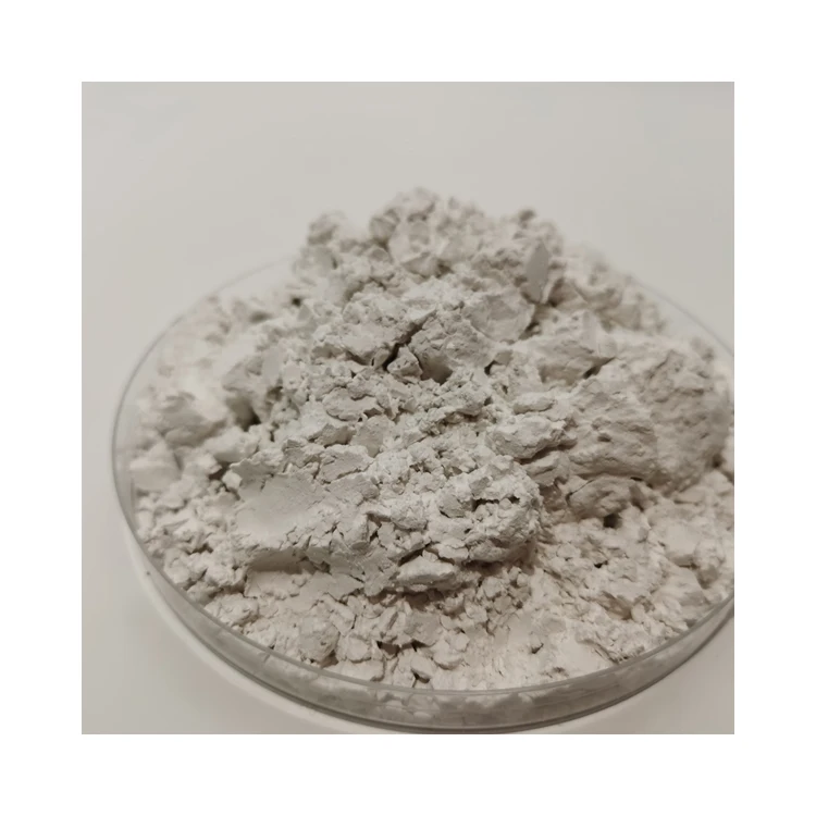 New Arrival Diatomite Filler Senda White Diatomaceous Earth Powder Food Grade