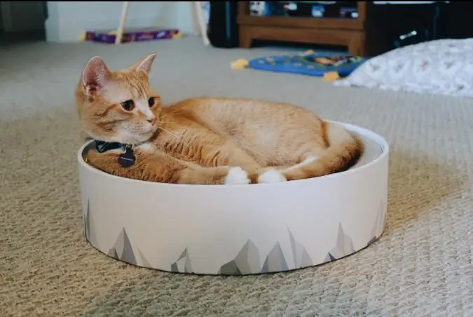 custom corrugated cardboard 2in1 Durable Modern Cat scratching pad Lounge cat scratcher Couch Bed for indoor cats