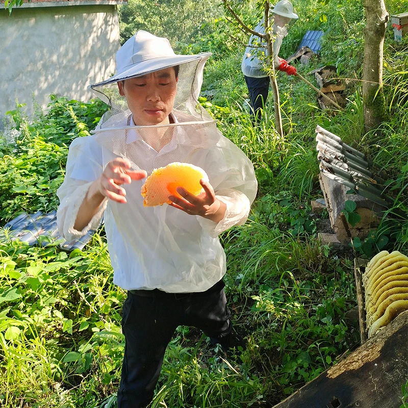 wholesale China Gold silk tooth honey boutique Bee Honey artificial MEL Packing Packaging no added yellow Color Package Country