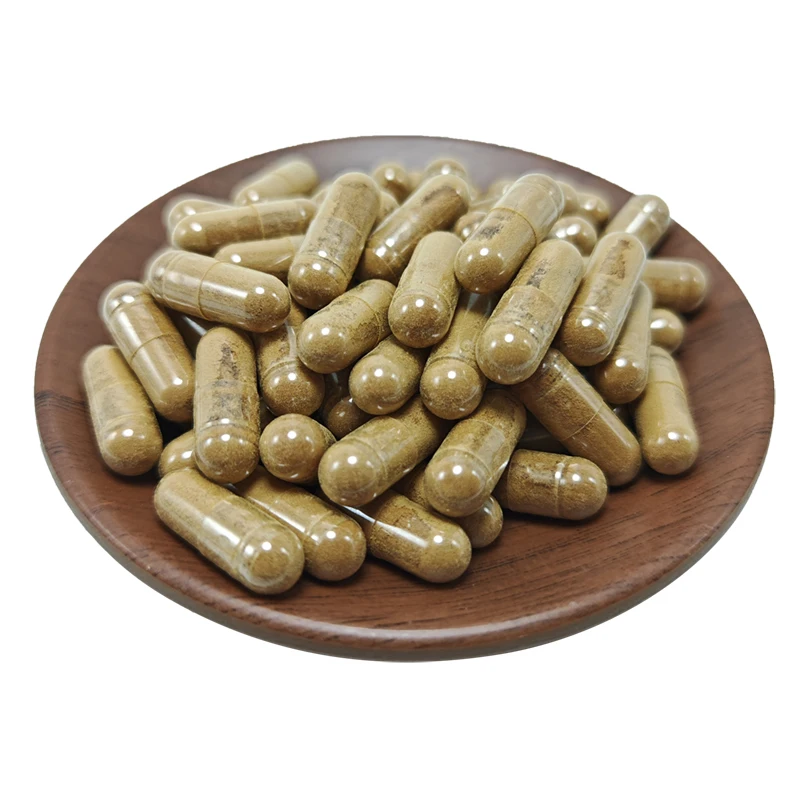 Factory bulk price Ganoderma capsules reishi mushroom capsules reishi capsules