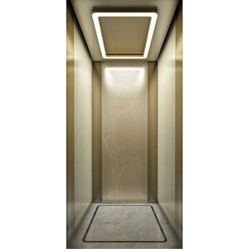 8 Persons Modern Building Luxury Decoration Villa Elevator