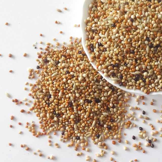 
Millets Mixed For Budgie Food Budgerigar Food Small Parot Food Bulk 1kg 