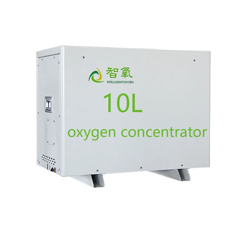 
Oxigen Concetrator 10L Home Oxyzen Concentrator Oxygenconcentrator 10 Liter 
