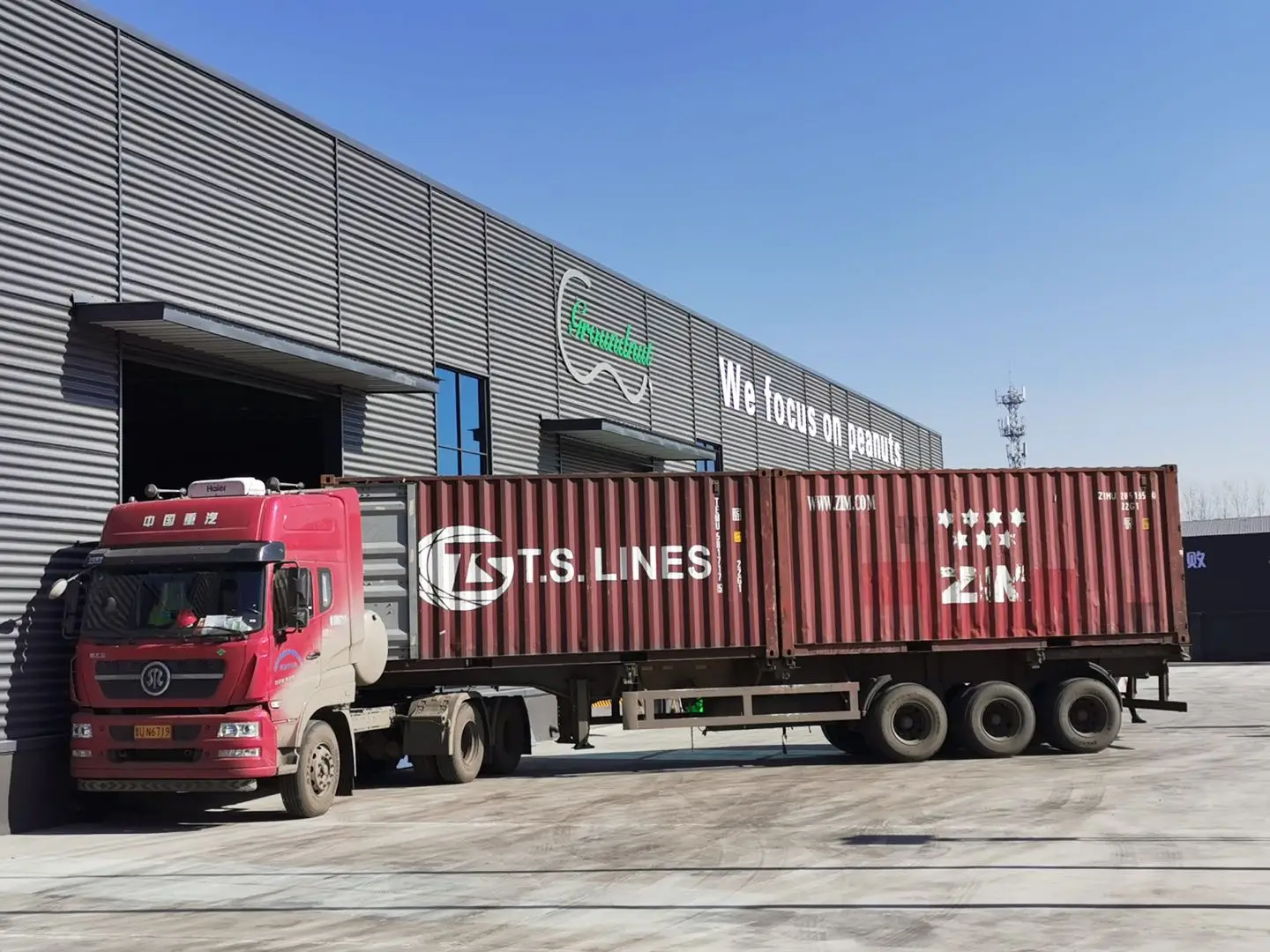 Top Grade Chinese 2020  New Crop Peanuts in Shell