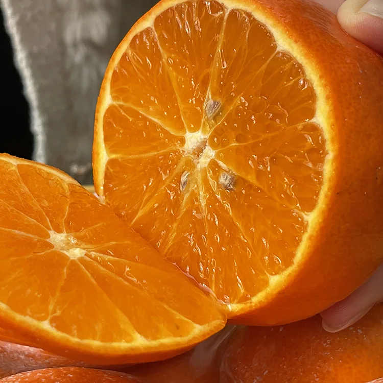 2022 Yunnan Fresh Fertile Orange Made in Yunnan Province  Rich in a variety of nutrients  China Exporters  Quality Wholesale