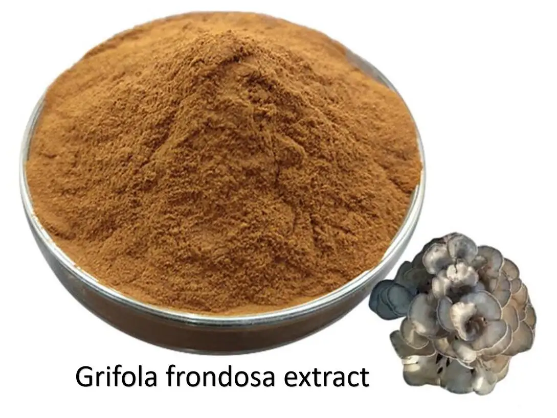 Экстракт Grifola Frondosa сырье порошок травяной экстракт диетическая добавка