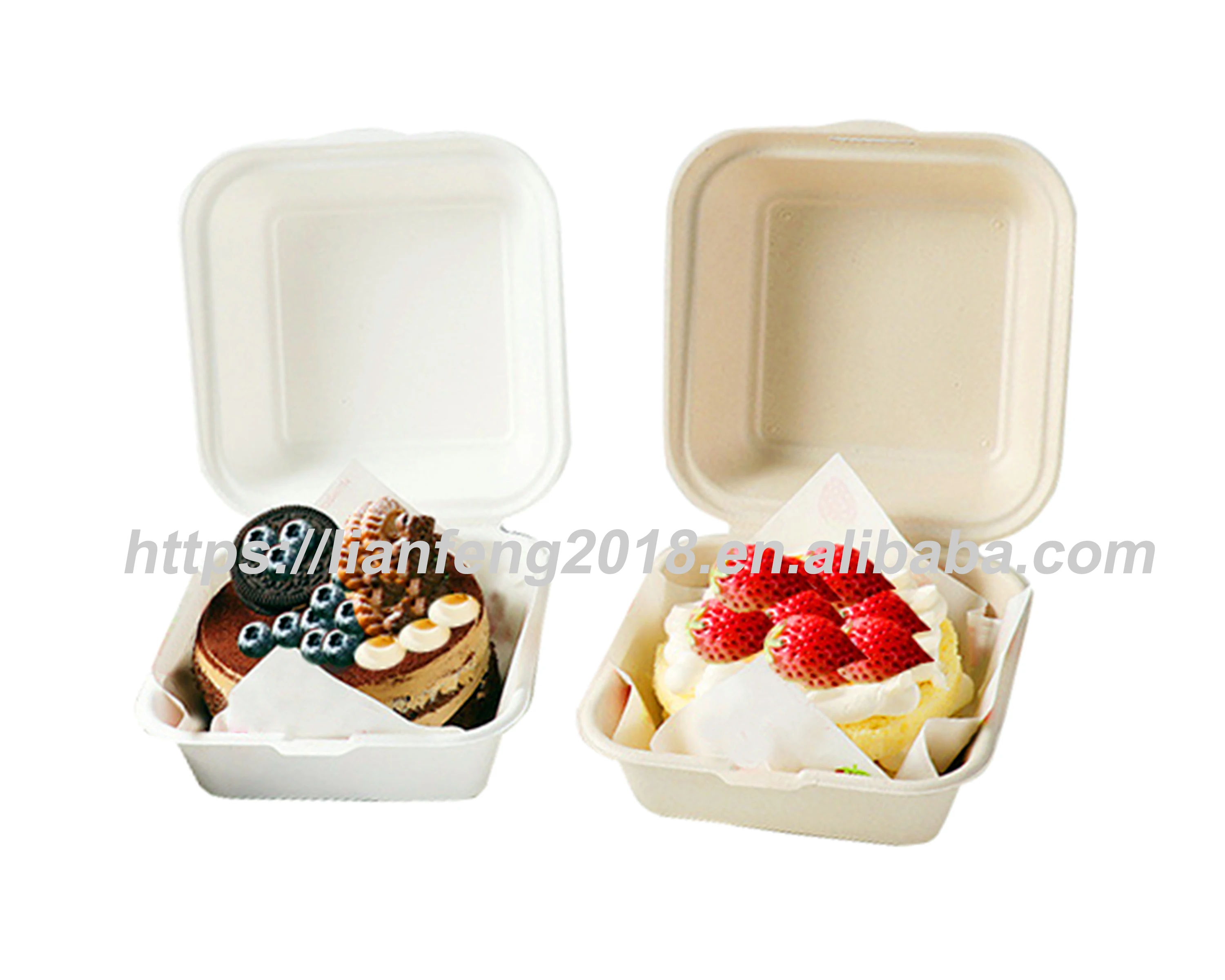 China 100% Eco Biodegradable Compostable Bamboo Powder Disposable Food Container Food Tray And Box