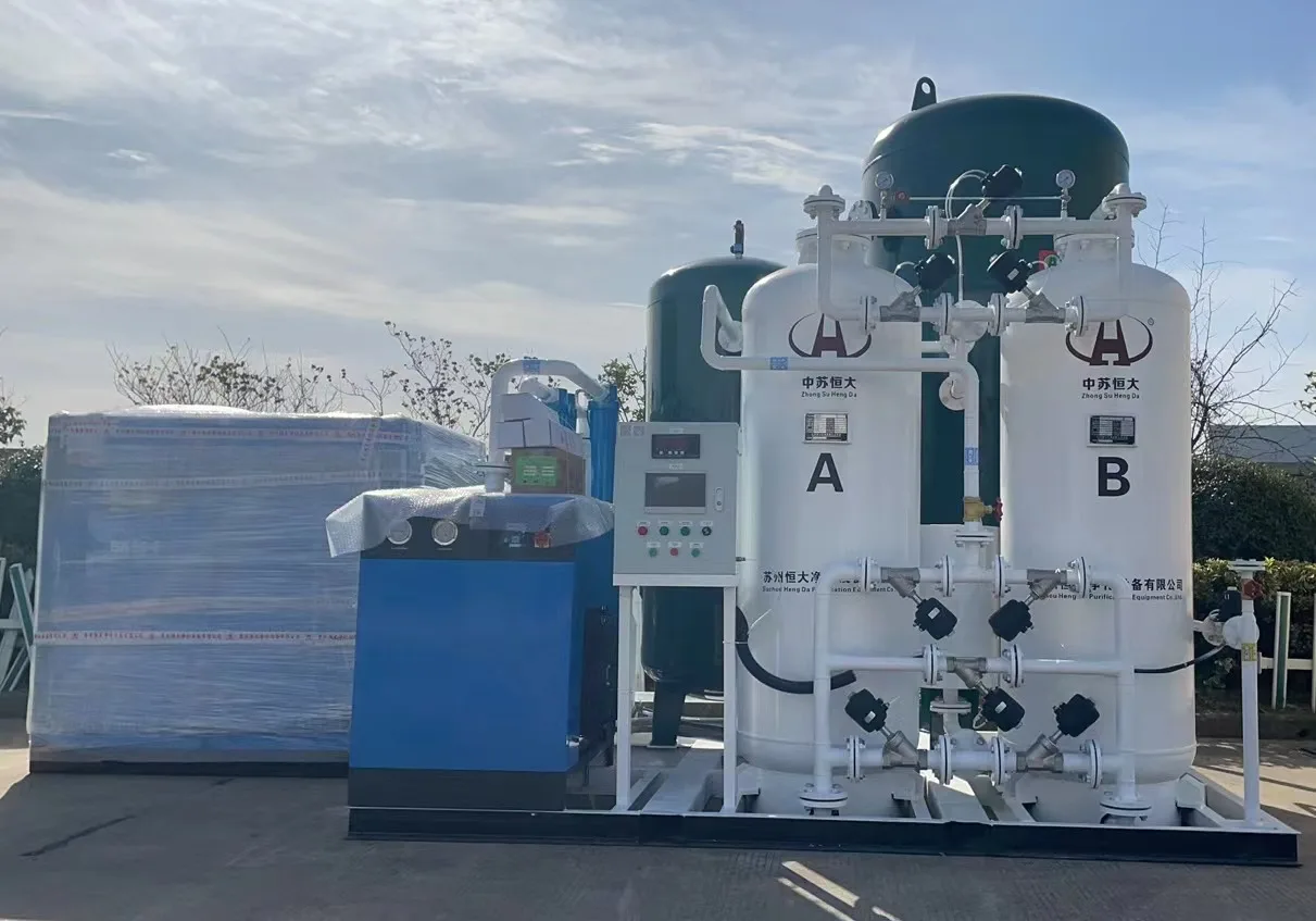 Chinese Famous Brand Siemens PLC Controlled 55Nm3/h PSA Oxygen Generator with Container