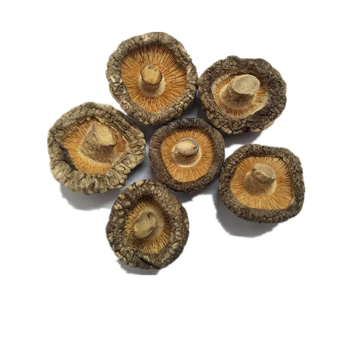  Дегидратированный гриб Shiitake обработка сушеных грибов лучшее