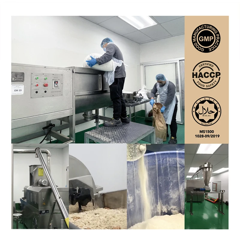 Factory Supply 3 in 1 Instant Cocoa Malted Powder Nutritious Breakfast Cocoa Drinks OEM ODM 25KG Per Bag Chocolate Beverages