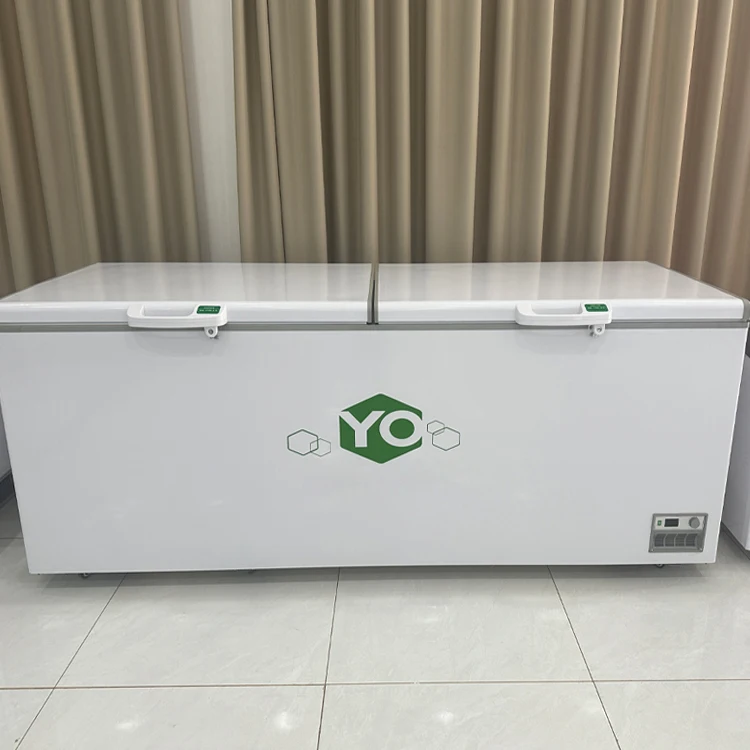 New Design 1000-Liter Deep Freezer Cold Storage Refrigerator with Deep Shock Resistance
