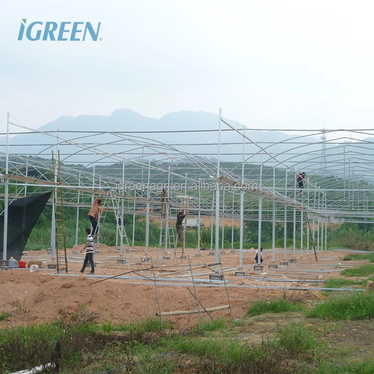 30 X 100 Greenhouse Greenhouses for Vegetable Garden Chinese Greenhouse Kit Customized Film Large Green House Metal Frame 4m--7m