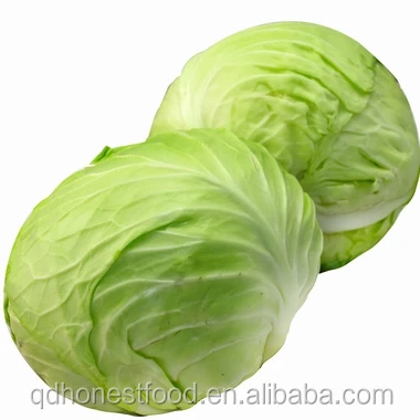
2021 new crop fresh cabbage from China fresh Beijing cabbage with low price 