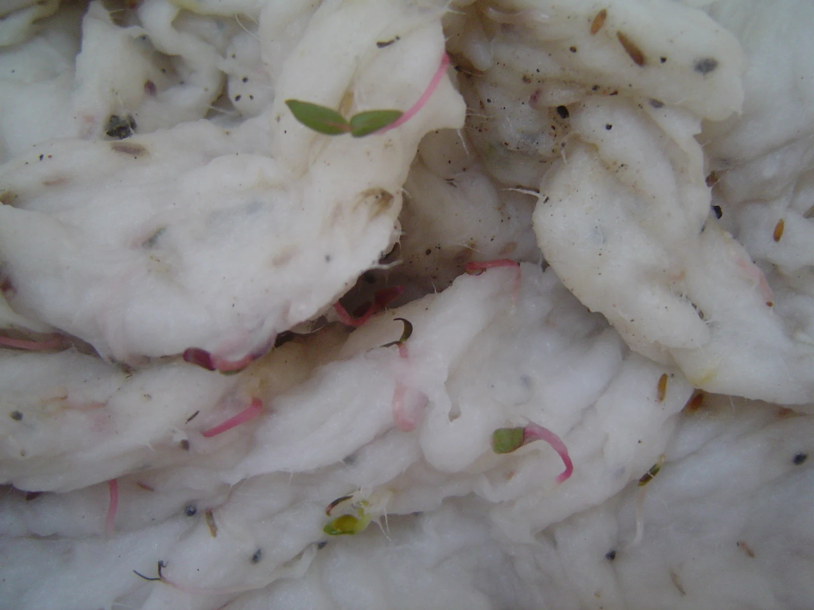 
A4 Eco-friendly Recycled hand made Plantable Seed development Paper 140gsm 