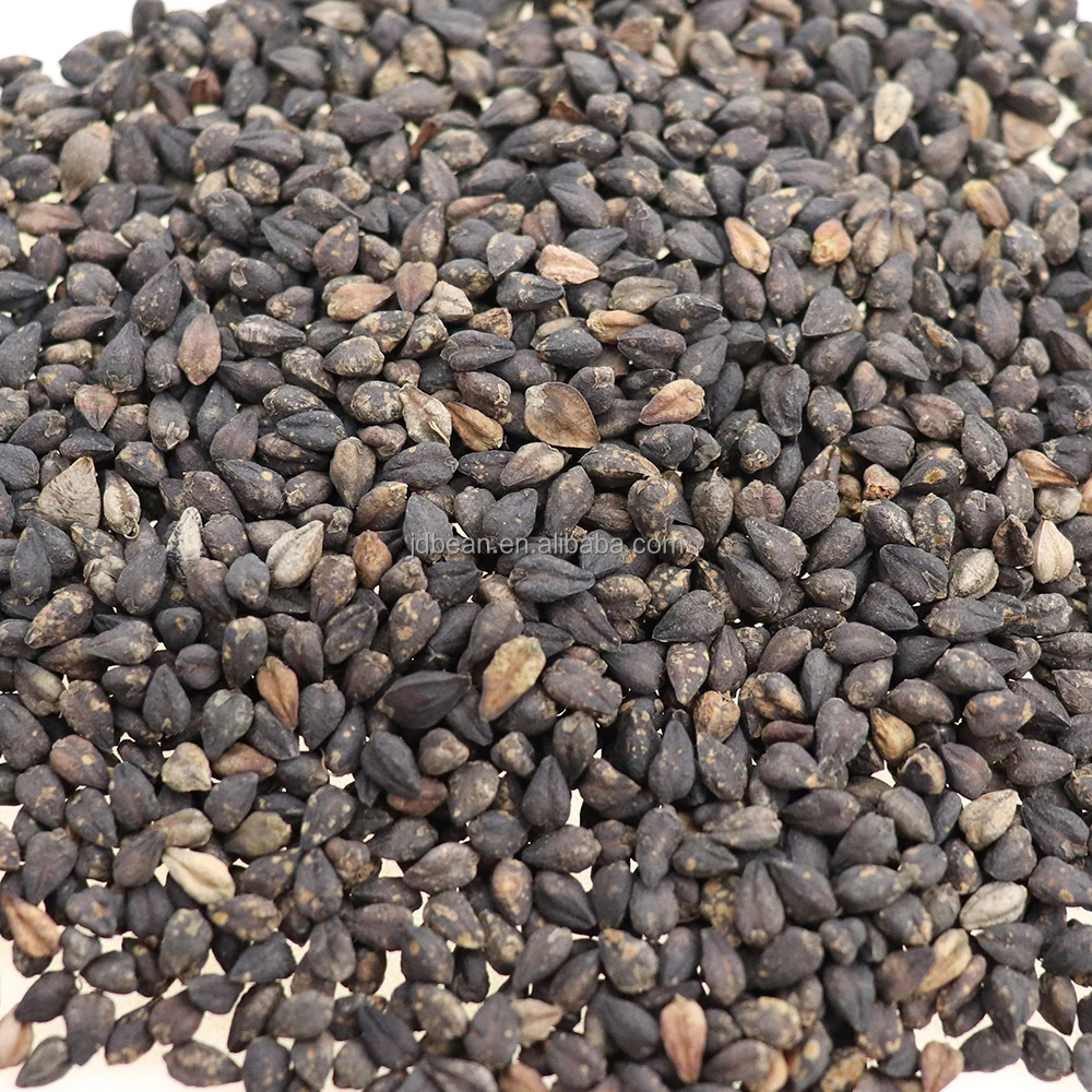 Healthy Food China Traditional Round Buckwheat Tea Tartary Buckwheat