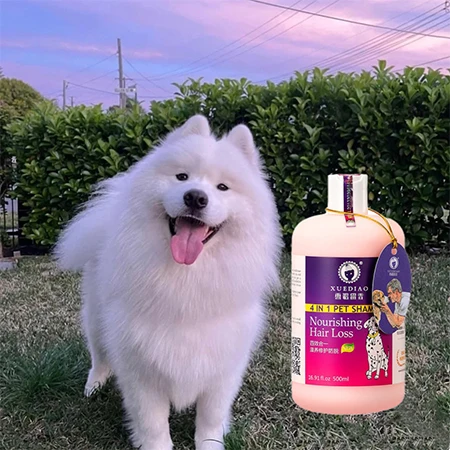 Deep Cleansing Smoothing Grooming Dog Shampoo Sustainable Plastic Tear-Free Anti-Bacterial and Itch Relief