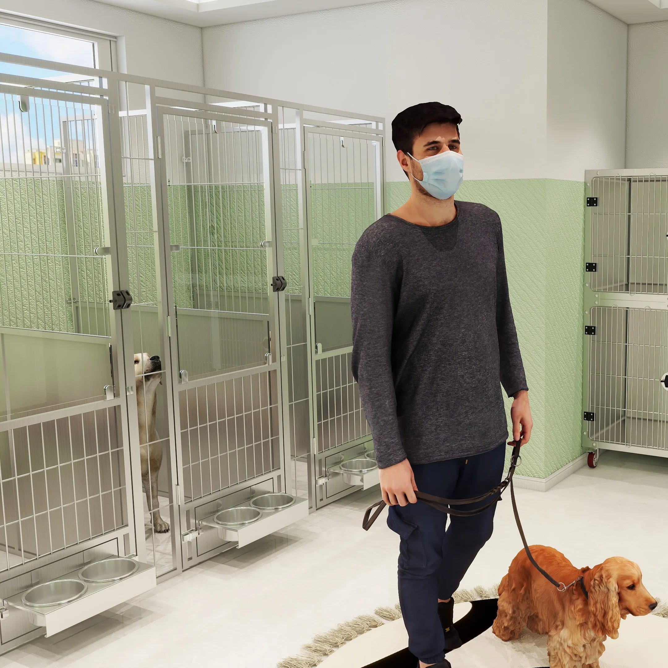 Valencia County Animal Shelter Dog Kennels Dog Runs Veterinary Dog Kennels