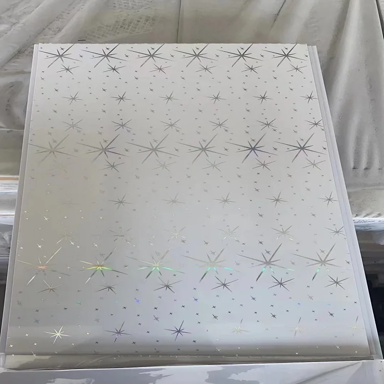 Techo Cielo Modern Design Laminated PVC Ceiling Designs for Indoor  Decoration PVC ceiling