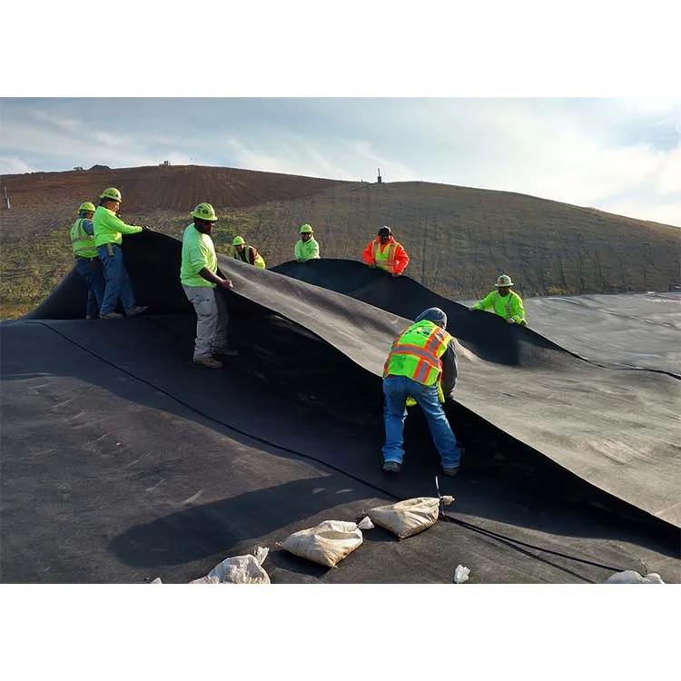 Multifunctional Geomembrane Liner Swimming Pool With High Quality