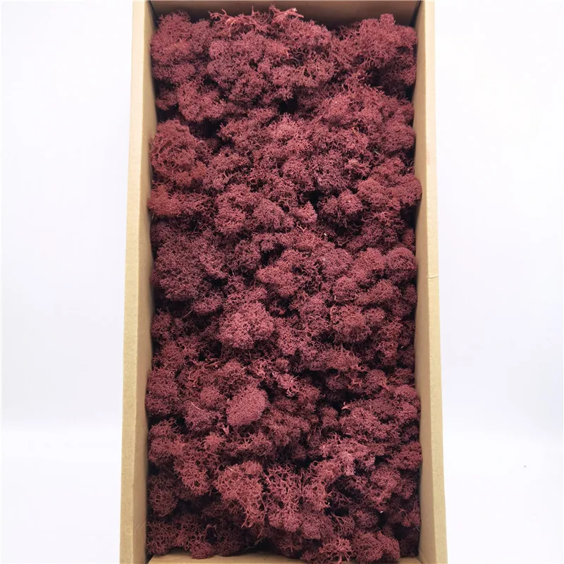 Wholesale Moss Wall Natural Bulk Preserved Moss For Fairy Gardens Terrariums Craft Floral Project Wedding Arts