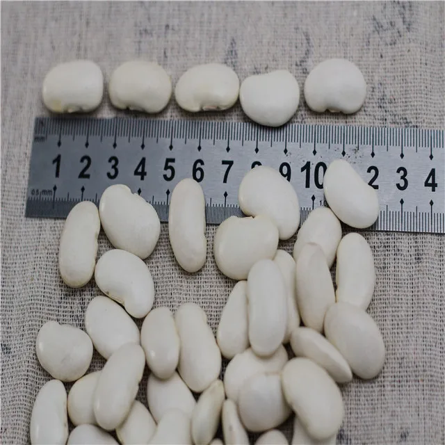 
High quality best price large Yunnan dried white kidney beans 
