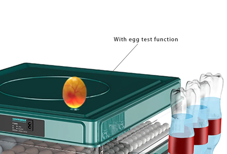 Automatic Temperature Control 48 Eggs Fully Automatic Mini Incubator For Chicken