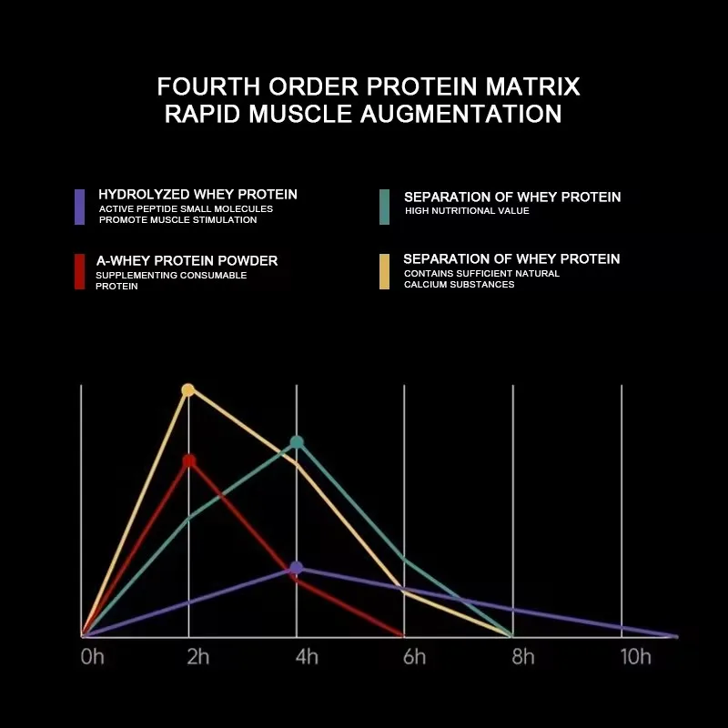 Customized High Quality Sport Nutrition Whey Protein Increase Muscle Fast Weight Gain Fitness Exercise Whey Protein Powder