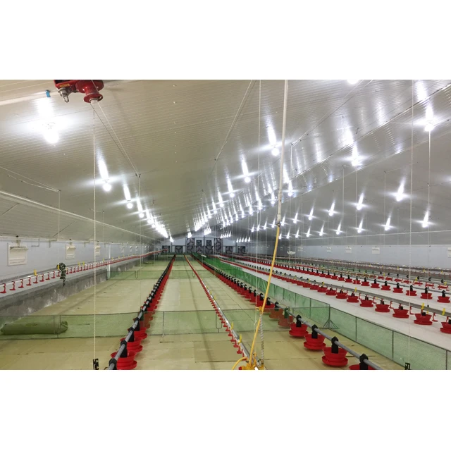 Fully Automatic Broiler poultry house Farming design chicken farm