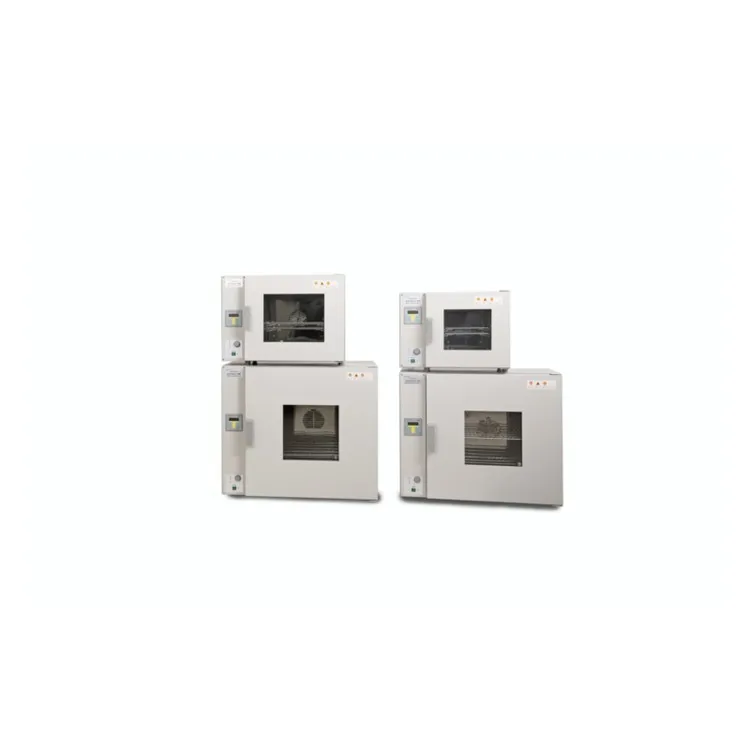  China Professional Manufacturer Laboratory Electric Dry Heat Oven Microwave