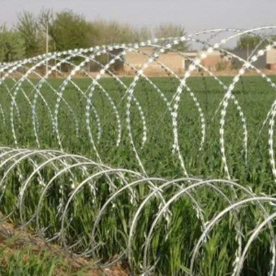 complete in specifications  Railway barbed wire fence stainless steel knife barbed wire barbed rope