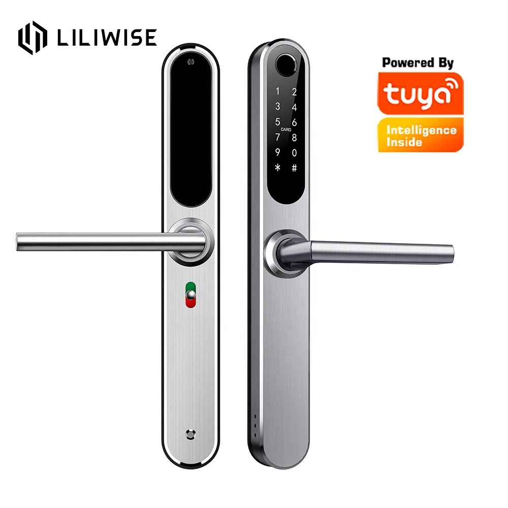 New Arrival Waterproof Intelligent Biometric Locks Ble Wifi  Smart Aluminum Door Lock