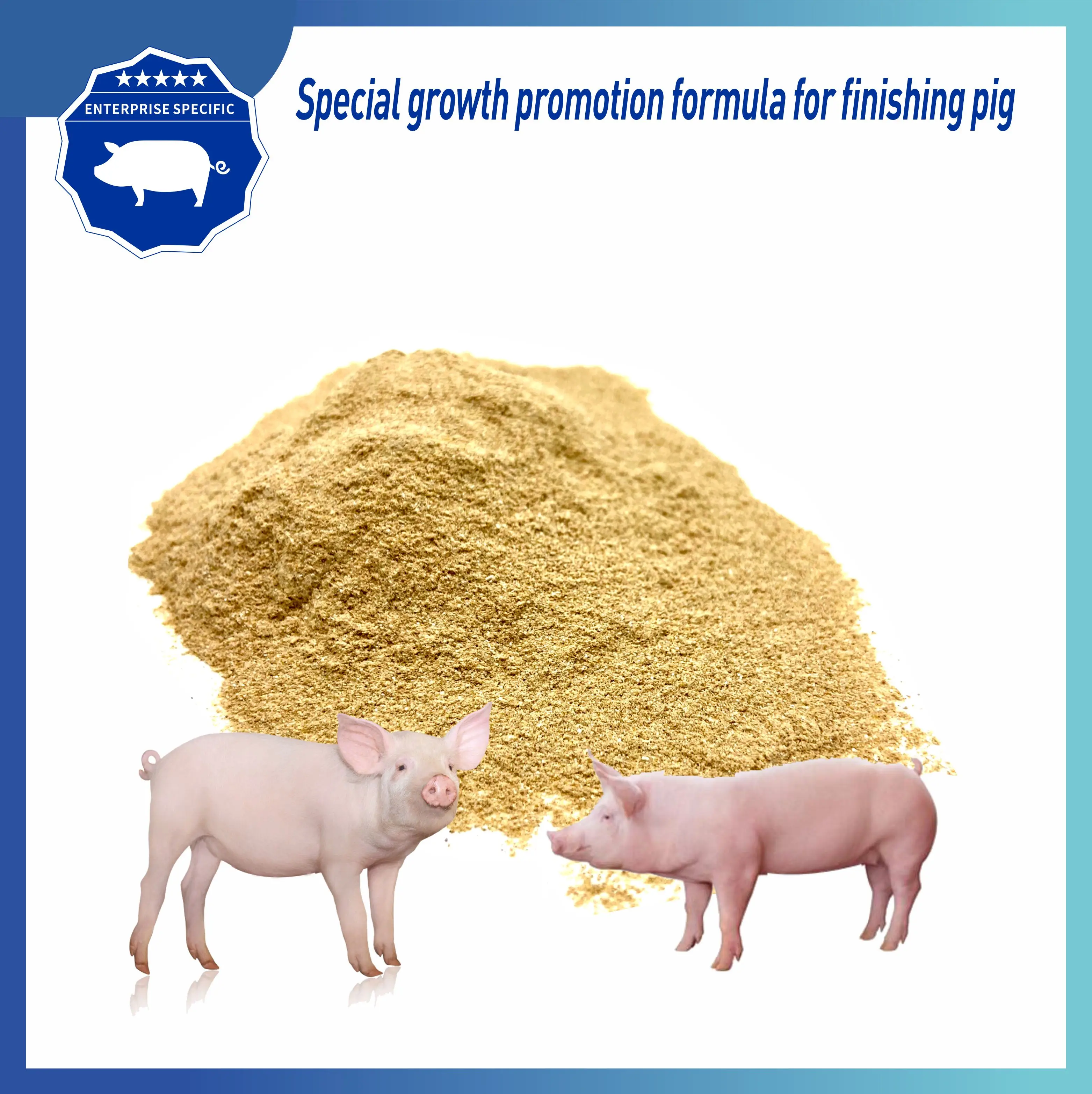 Increase weight gain and meat yield, improve meat quality and special feed additives for fattening pigs