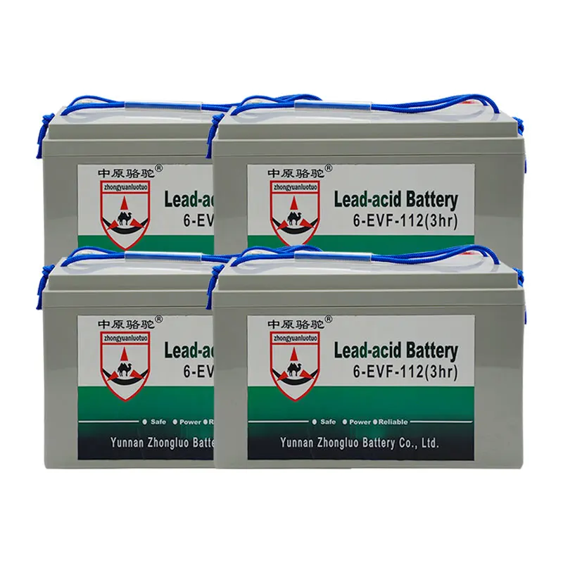 Hot Selling Wholesale 48 Volt batterie 50ah 100ah 110ah 160ah Lead acid Battery 48V 110Ah Golf Cart Batteries