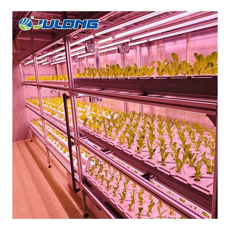 Customized 40ft/20ft Smart Container Shipping Container Farm Vertical Farming Superfarm nft Hydroponic Container Greenhouse