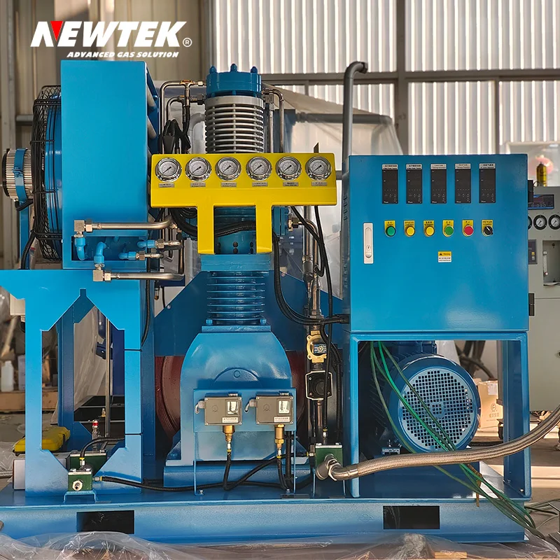 NEWTEK Oxygen Gas Plant Oxygen Generator Medical Oxygene Production Plant Provide On-site Installation Free Services