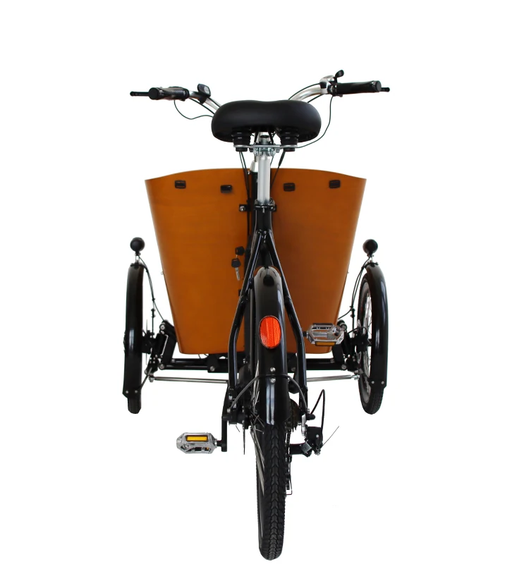 Europe Style 3 Wheel Bicycle With Cargo Box Front Loading Cargo Tricycle For Sale Electric And Manual Version Cargo Bike
