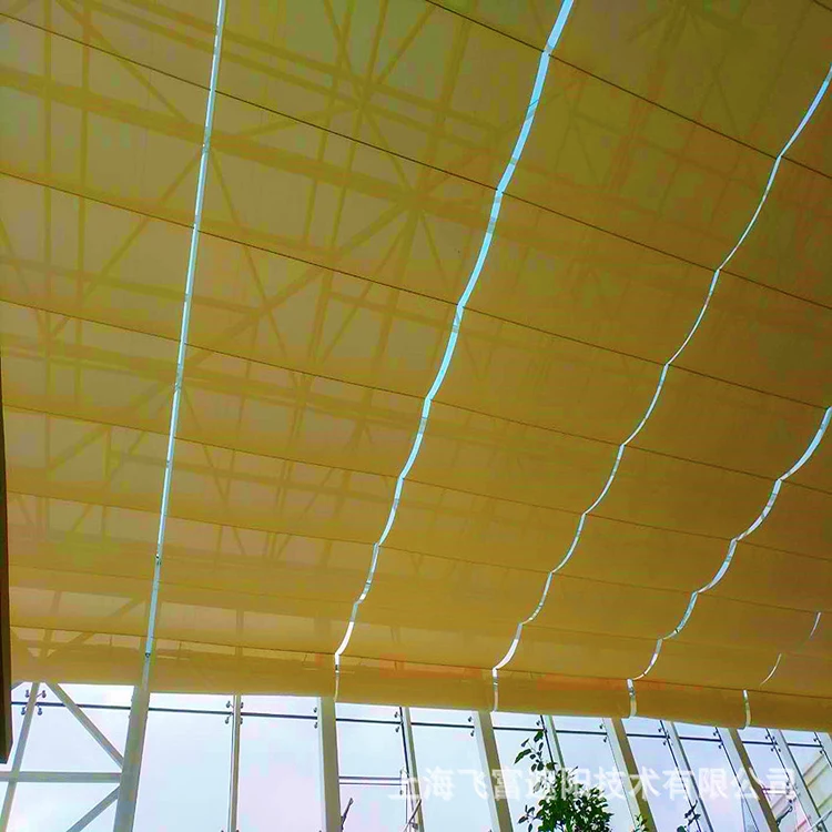 Manufacture Top Down Bottom Up Cordless Remote Control Skylight Blackout Blinds