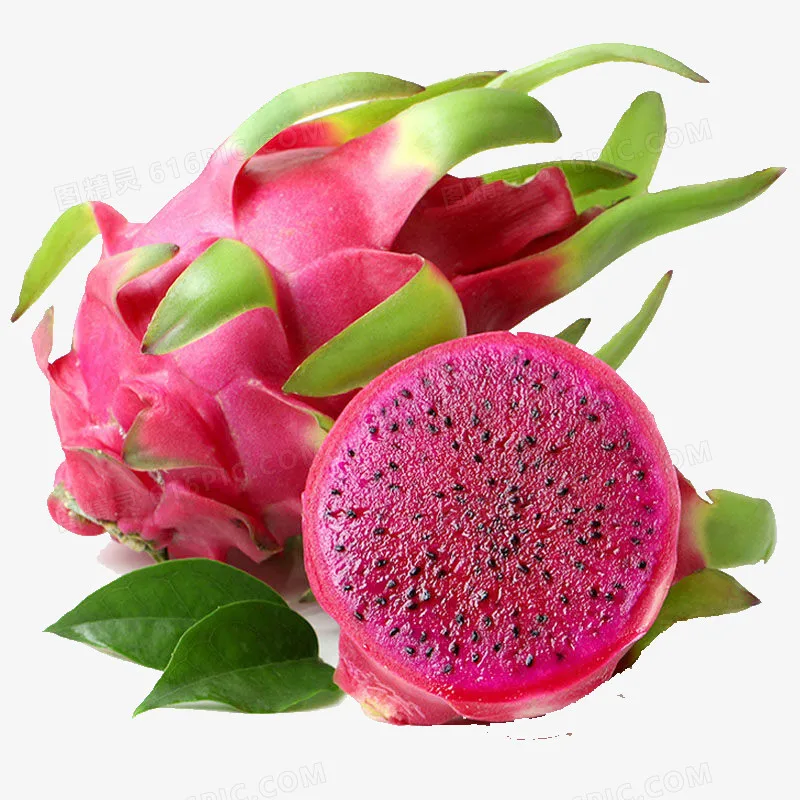 Dragon Fruit Sapling Seeds Dragon Fruit Milkshake