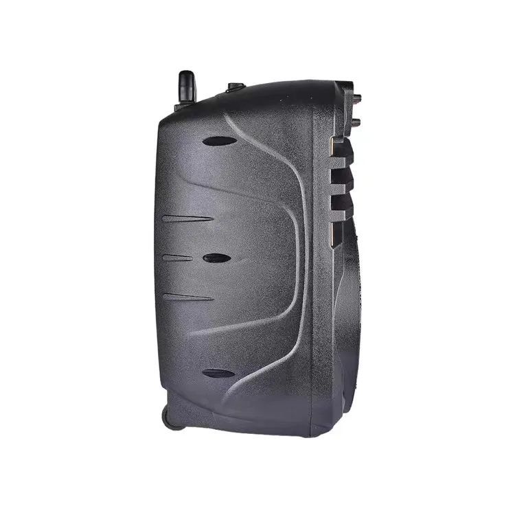 
Chinese suppliers supply new products outdoor portable 12 inch trolley speakers 