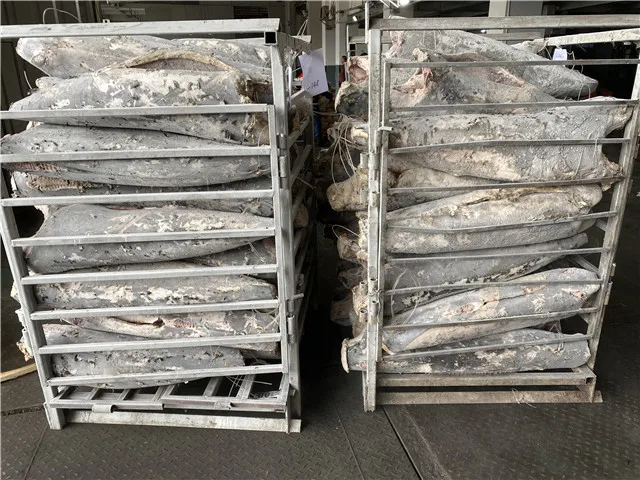 Wholesale Sword Fish DWT Sea Frozen Swordfish HGT