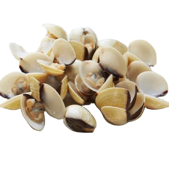 Замороженный цельный белый моллюск 40-60 из Вьетнама лучшее