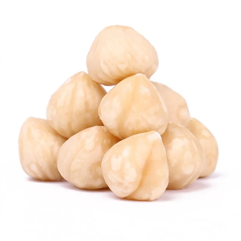 100% Natural Hazelnuts Price / Hazelnuts Kernels / Roasted Hazelnuts