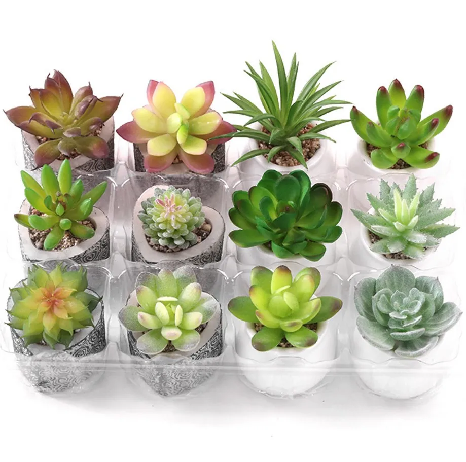 Succulents Wholesale Decorative Mini Cactus Assortment Outdoor Indoor Hanging Arrangement Artificial Plants Succulent For Sale