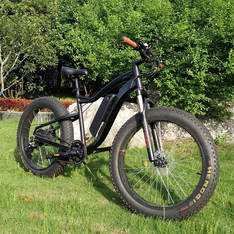 Suncycle Powerful Electric Bike 1000w Ebike Fatbike/Integrated Ebike