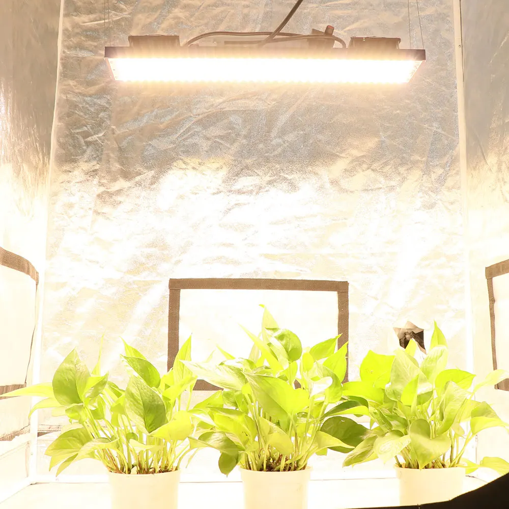 Yxo Yuxinou 240W Uv Ir Lm301H Lm282B Grow Light Led 480W Dimmable Indoor Plant Led Grow Light