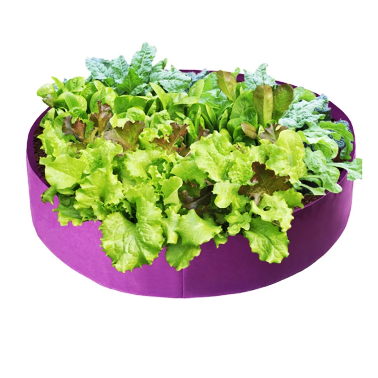 100 Gallon 100*50 CM Wholesale Non-woven Fabric Felt Grow Bag Plant Grow Bags with Handles