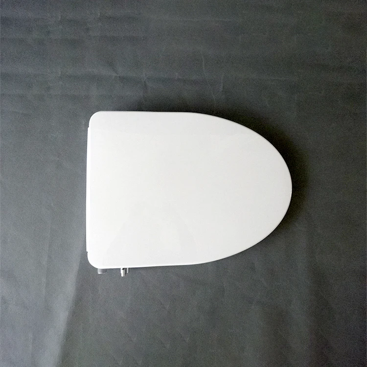 hygienic toilet seat with bidet seat