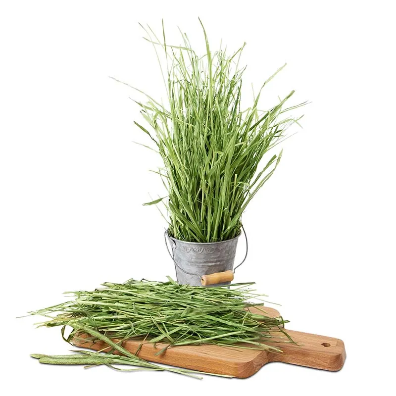 
Joy & Fiber Pet Food Rabbit Feeding Hay Canada Best Rabbit Hay For Rabbits 