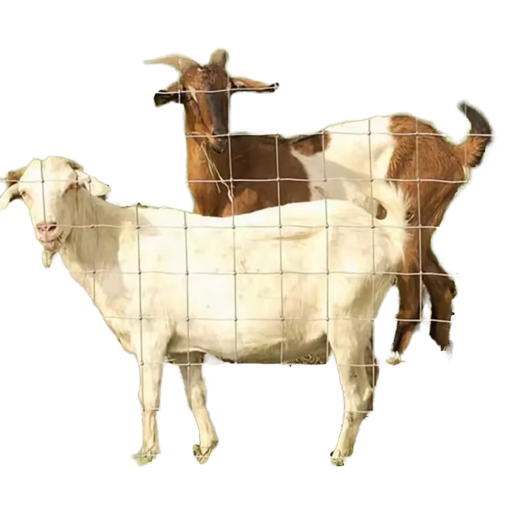 Hot Dipped Galvanized Fixed Knot Field Fence Farm Metal Iron Electro Galvanized Security Fence Panels Cattle Fencing