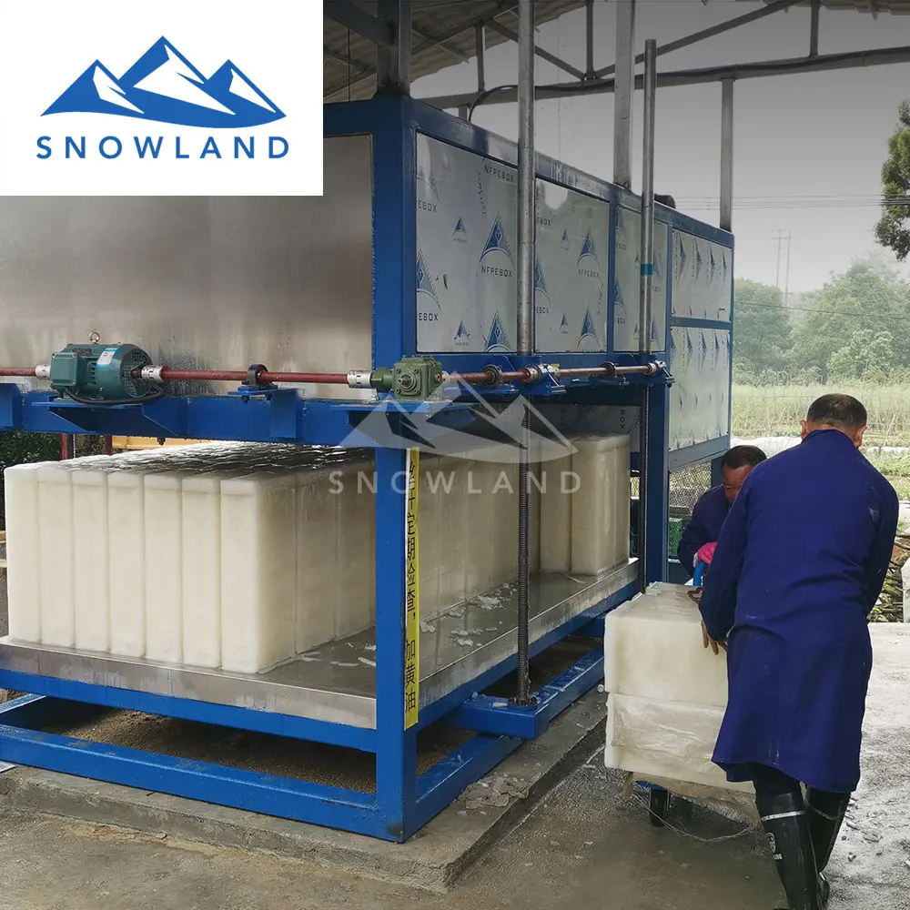 
5 ton ice maker with block ice 